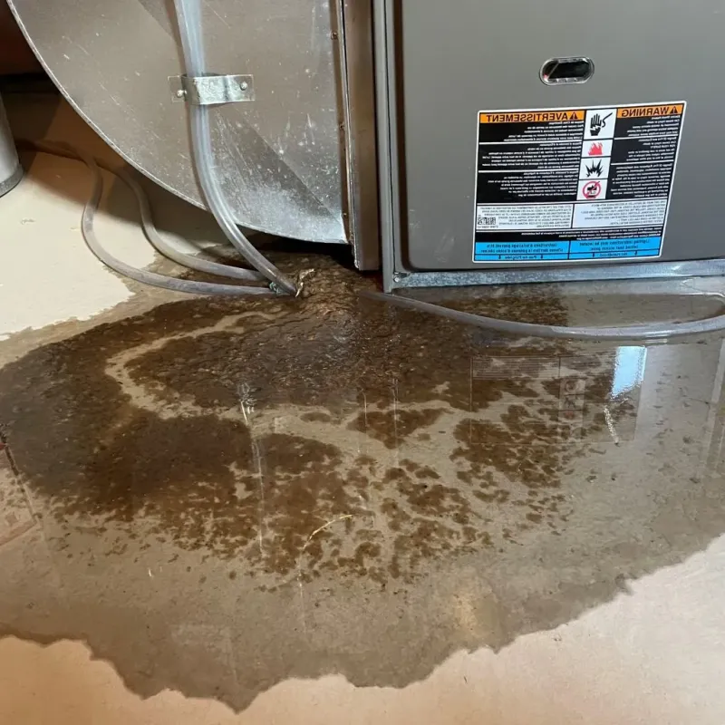 Pipe Burst and Leak Restoration in Dearborn County, IN